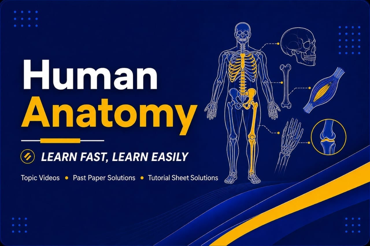 HUMAN ANATOMY 